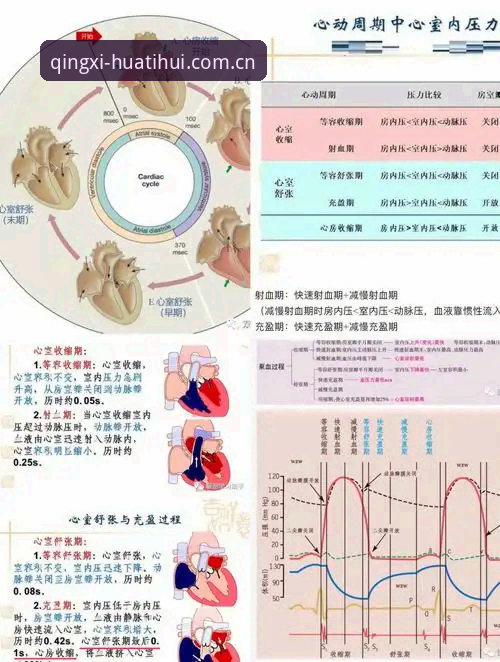 每一次访问都清楚省心SPORT必备 在SPORT功能下,34岁再做选择:详解埃里克森两次心脏骤停的定量对比